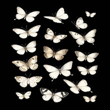 Load image into Gallery viewer, Ivory Flight Scarf (Square Scarf + Pretied)